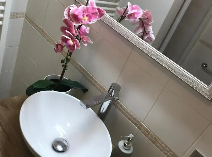 Corradi50 Апартаменты